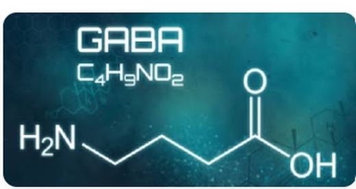 GABA