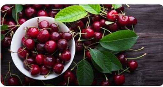 Red Tart Cherry Extract